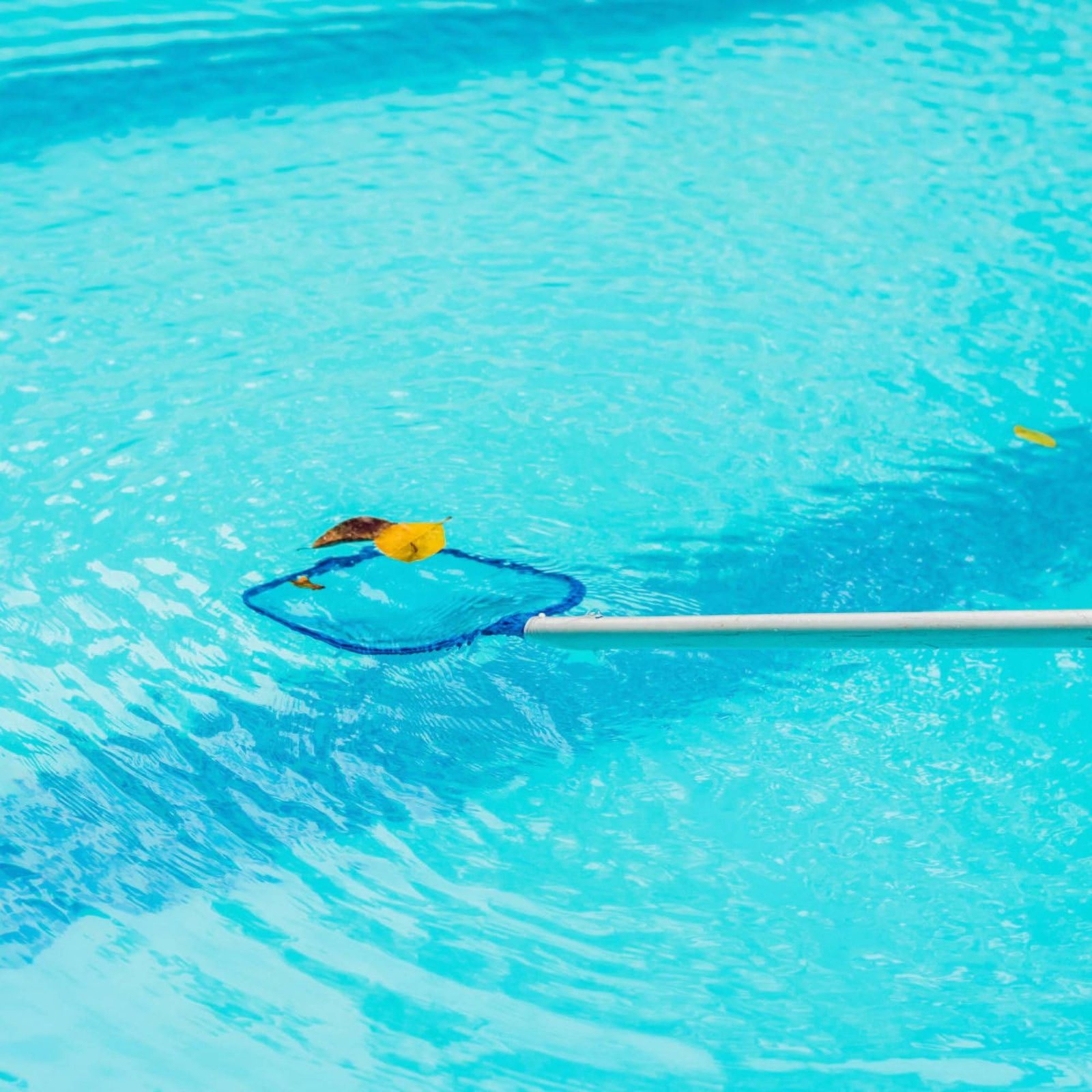 Съемная сетка для сбора листье – обзор и цена Pool Skimmer Net