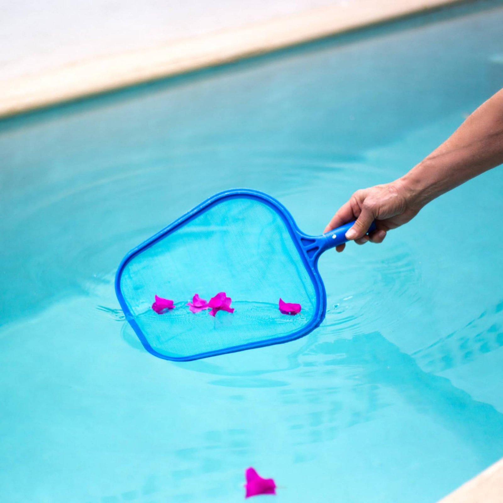 Съемная сетка для сбора листье – обзор и цена Pool Skimmer Net